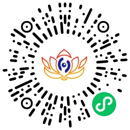 觉量智投